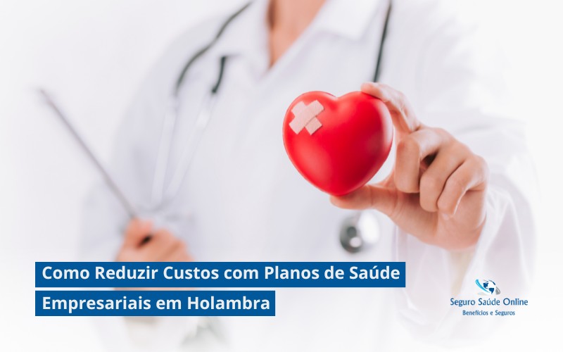Como Reduzir Custos com Planos de Saúde Empresariais em Holambra